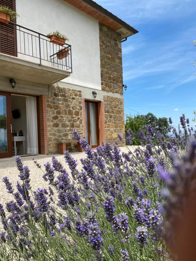 Podere Belsogno モンタルチーノ エクステリア 写真