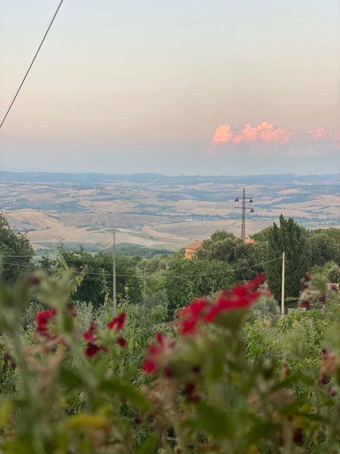 Podere Belsogno モンタルチーノ エクステリア 写真